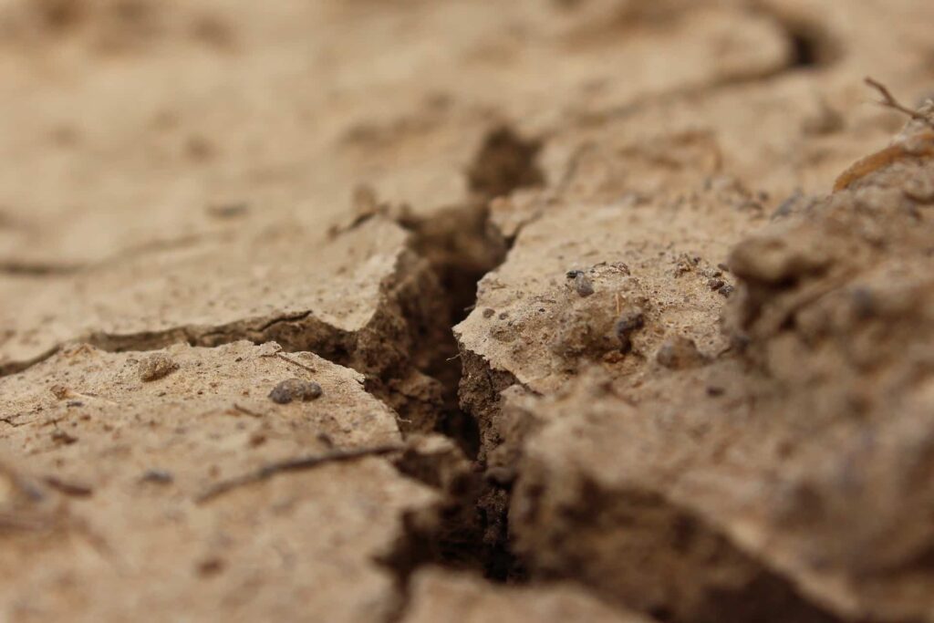3 Ways a Drought Impacts Your Home