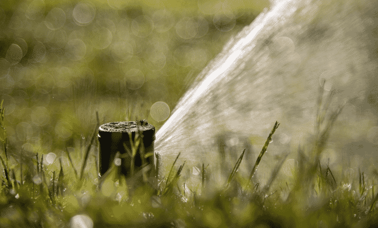 3 Lawn Sprinkler Maintenance Tips