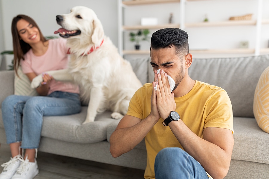 Mold and Your Pets: What You Need to Know